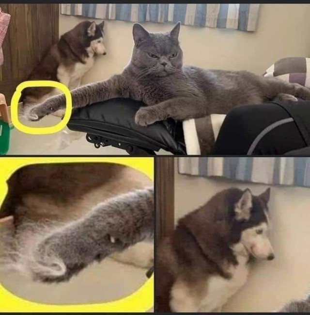 Пока есть сеть