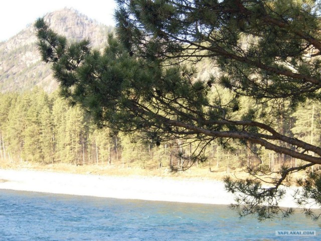 В ноябре на Алтае 2010г.