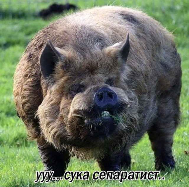 Уникальное видео из Азовстали
