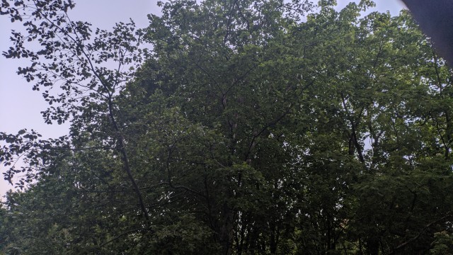 Белые ночи в Москве. Спать без штор невозможно