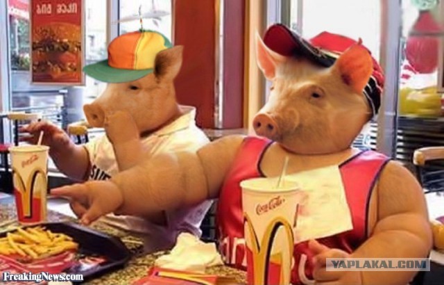 «Макдоналдс» обнародовал новое название сети ресторанов в России