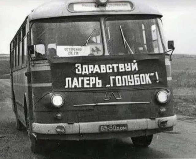 Так себе картинки 11.08.22