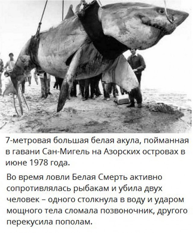 Немного истории в фото от 09.09.2022