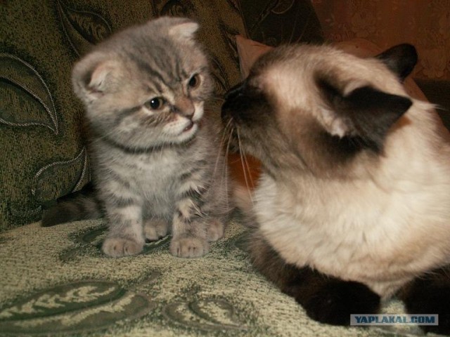 Хороший отдых