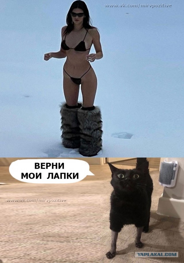 Перлы - 15.01.2023