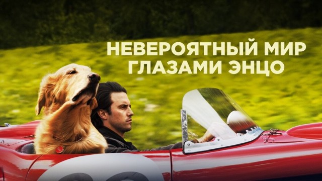 Старый пес⁠⁠