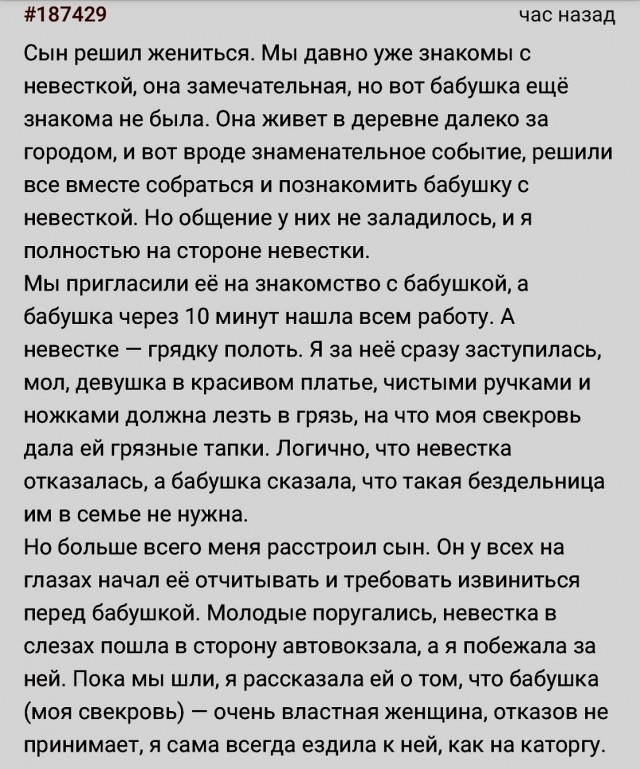 "Ленивая" невестка