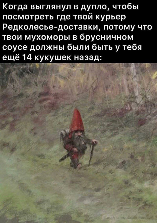 Весёлый полтишок 28.06.23