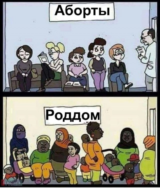 Весёлый полтишок 23.07.23