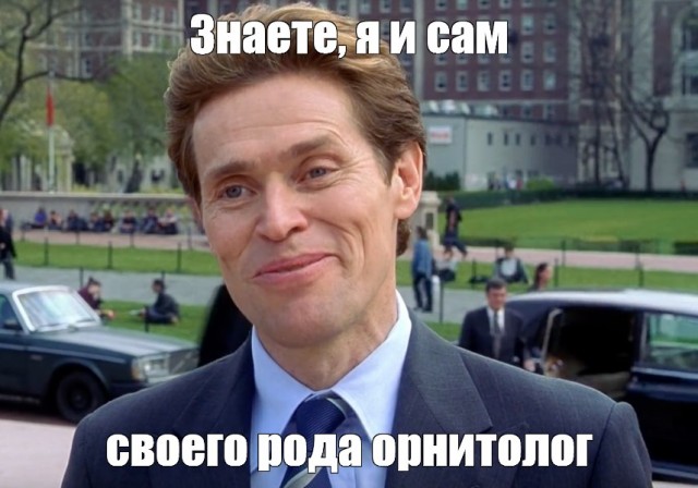 Что можно вырастить на окне