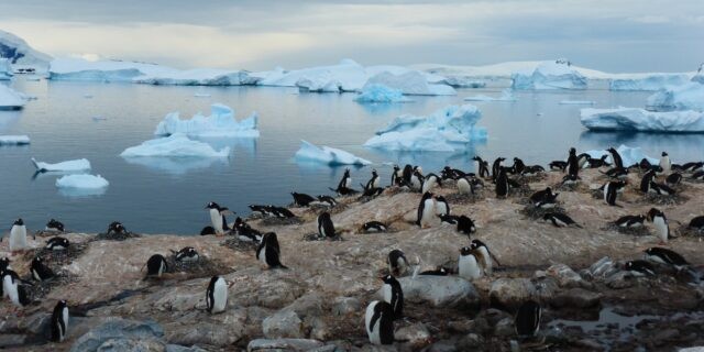 Таяние льдов может замедлить вращение Земли, и сутки станут чуть длиннее
