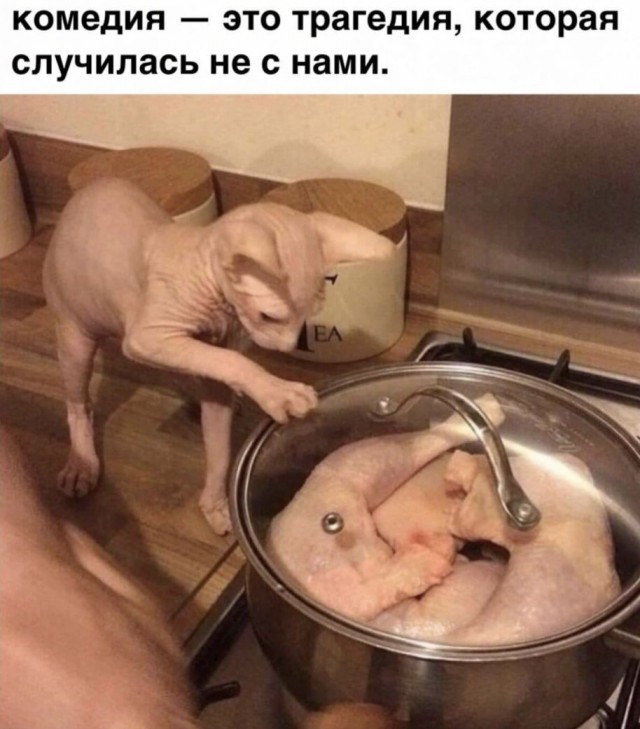 Никакие картинки
