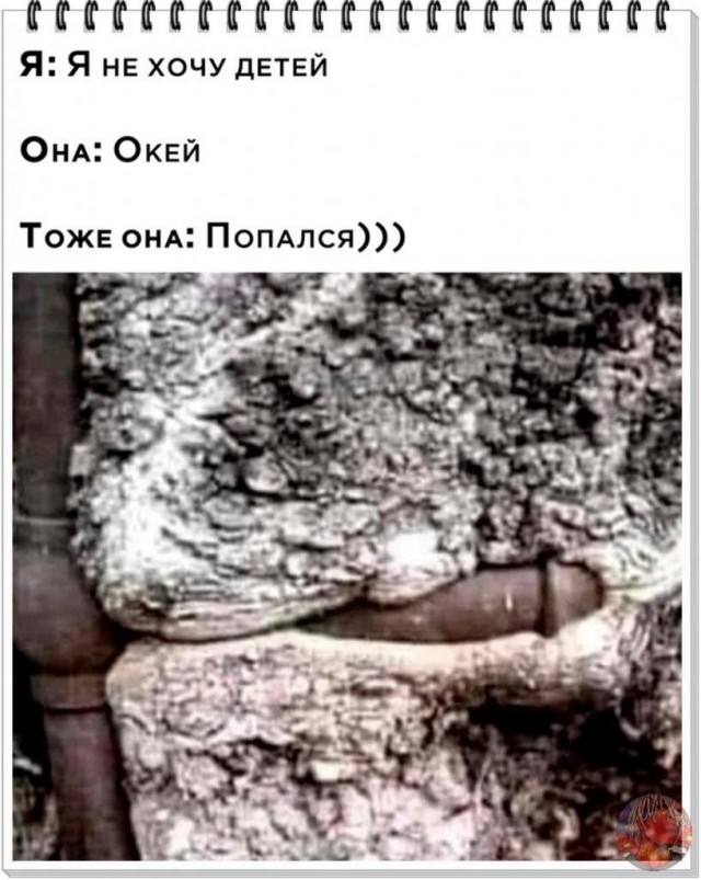 Так себе картинки 30.08.24