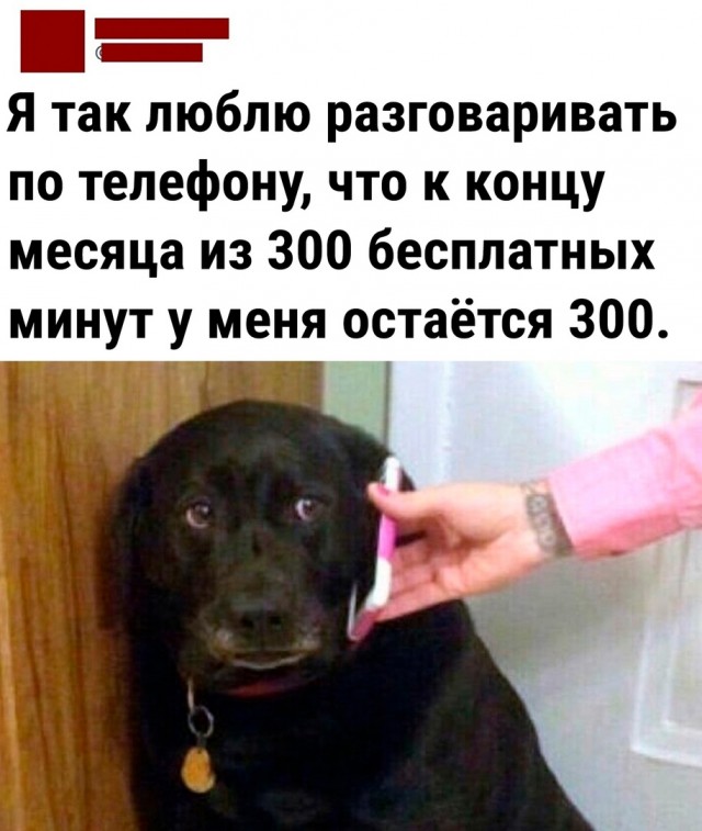 Так себе картинки 08.11.24