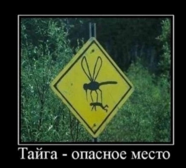 Ищу компаньона(-ов)