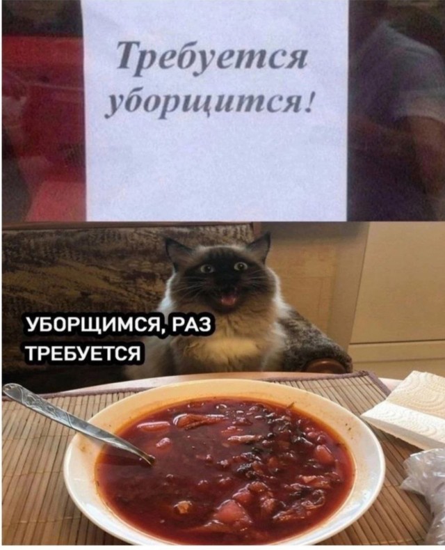 Тот случай, когда точка решает