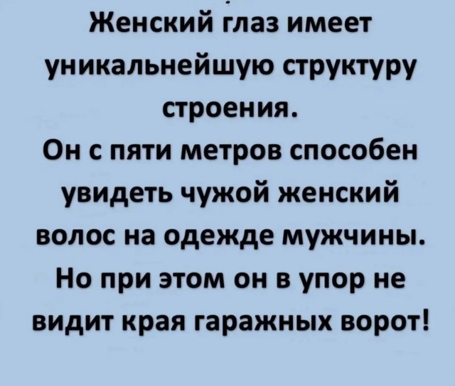 19965799.jpg