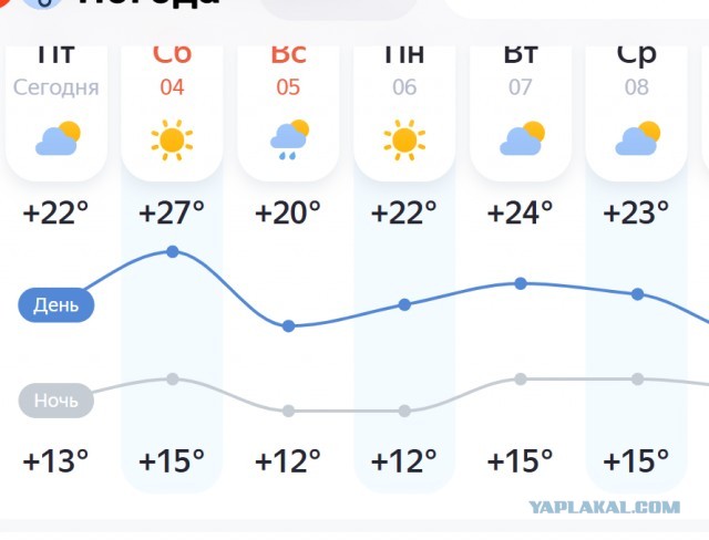 Замученный жарой