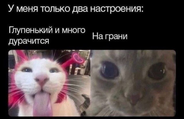 Прикольные и просто красивые картинки 06.01. 2026