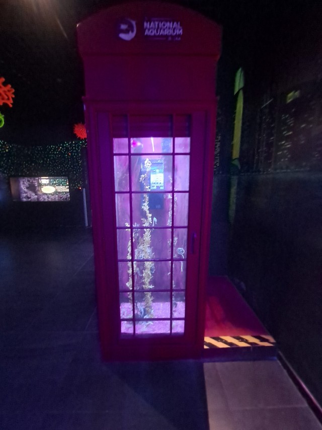 Дубайск в декабре