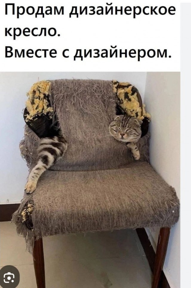 Веселое настроение в картинках (14.02.2025)