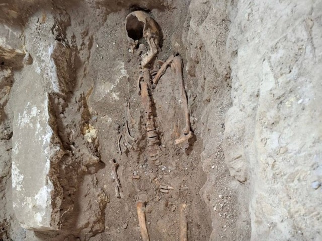 Скелет д’Артаньяна обнаружили в Нидерландах