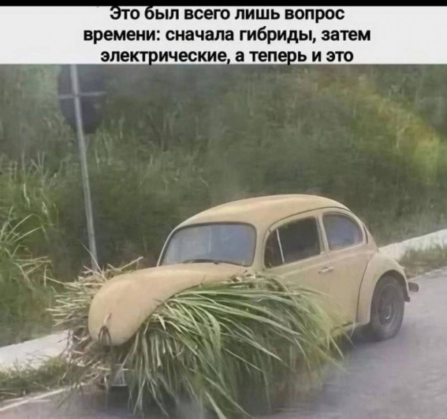 Веселые картинки в понедельник (06.04)