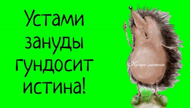Картинки для деградации 203  (разной степени свежести)