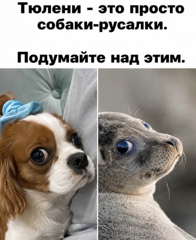 Картинки для настроения