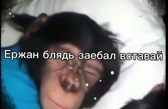 Власти Казахстана усилили контроль в приграничных районах, чтобы пресечь незаконный вывоз топлива.