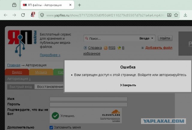 Танцуют все!