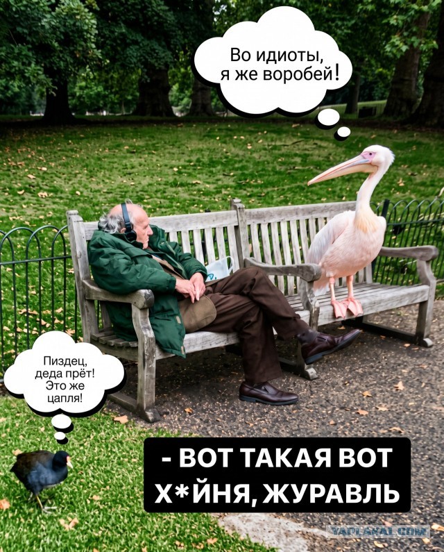 Картинки для деградации 238 (разной степени свежести)