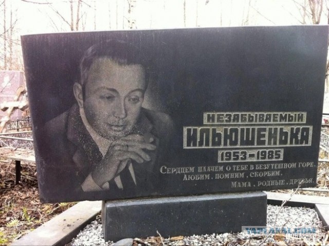 Необычайные похождения и роковая ошибка подпольного миллионера Ильи Векштейна