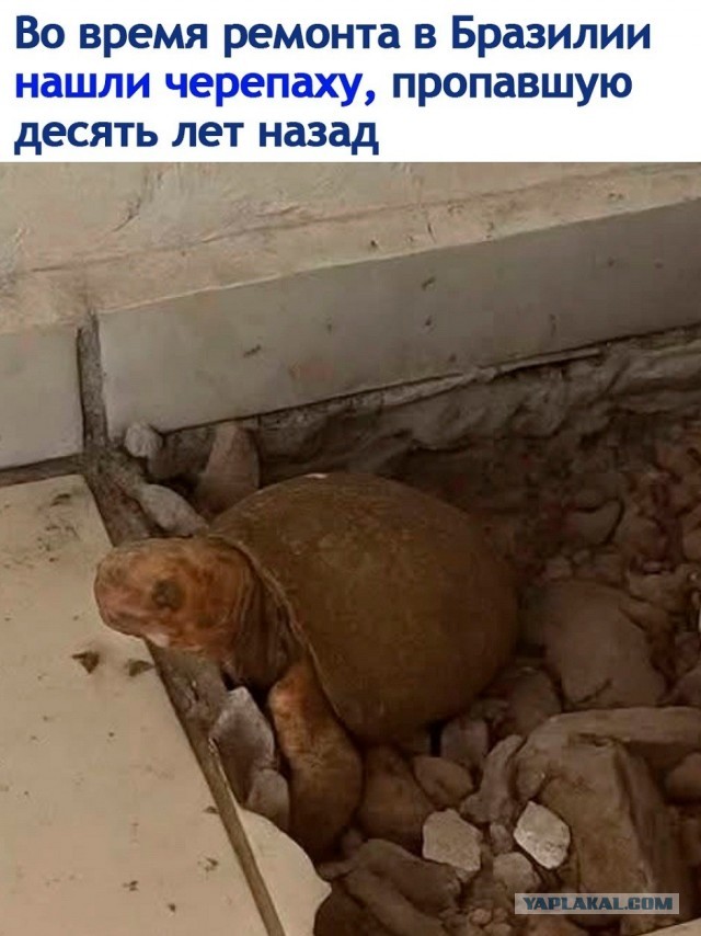Так себе картинки 22.08.26