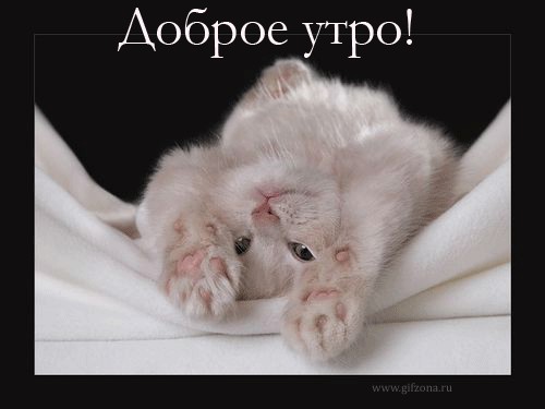 Чёрт, чёрт, чёрт!