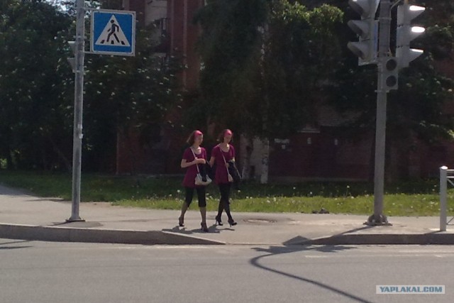 Фестиваль двойняшек в городе близнецов