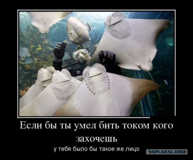 Правда жизни