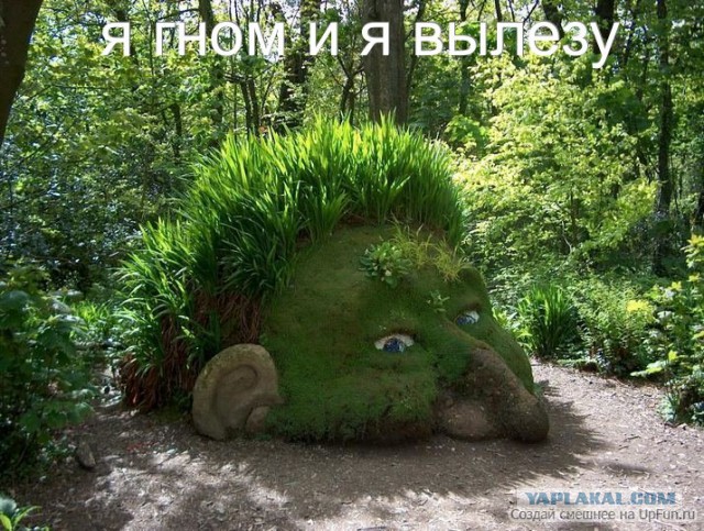 Когда кто-то плюсует твой заминусованый пост