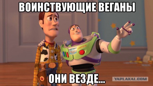 «Кто ты по гороскопу?»