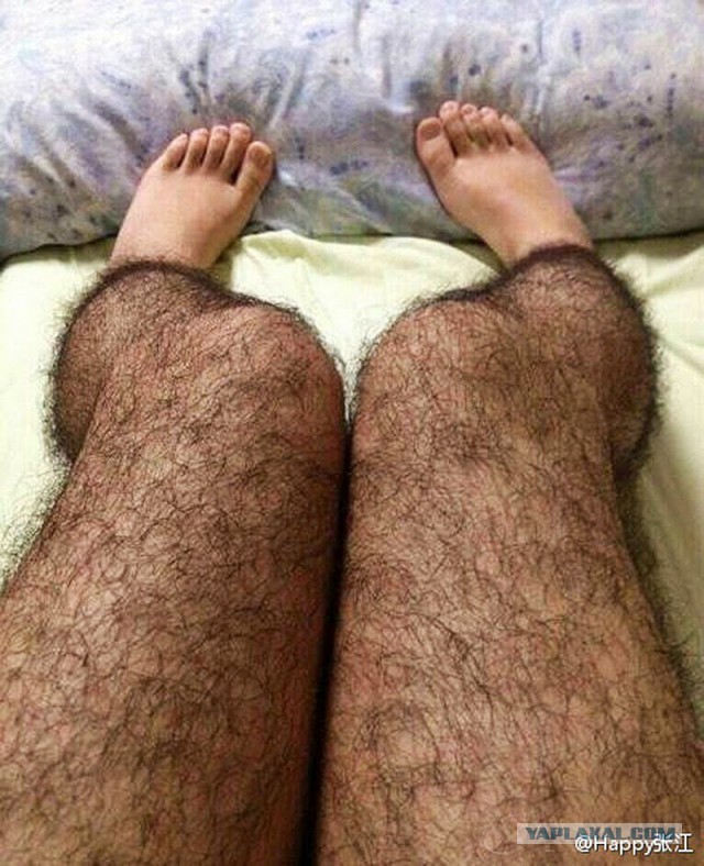 Рыжие