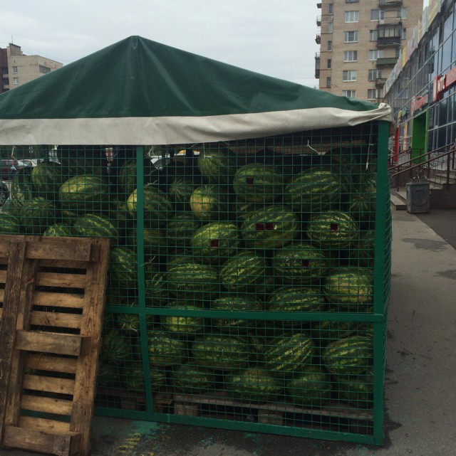 Каждый год одно и тоже