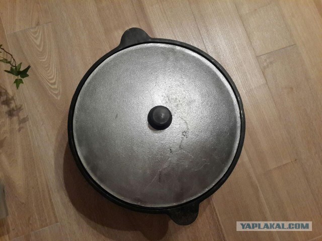 Продам Пчаки