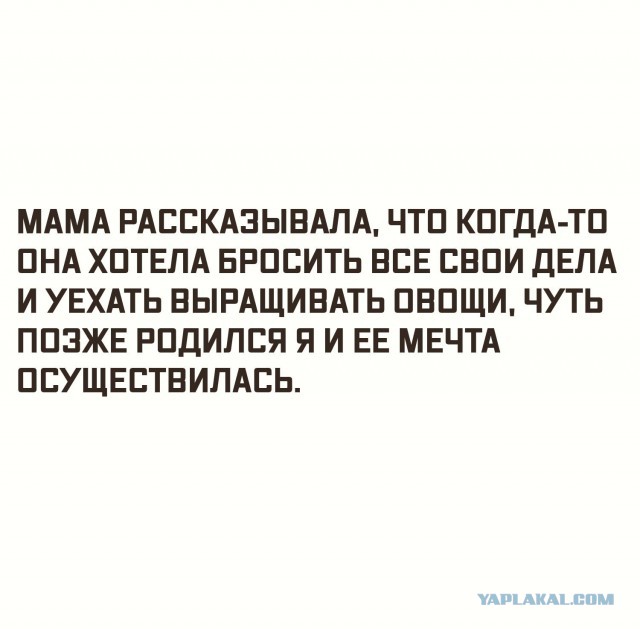 Деградировать подано, дамы и господа!