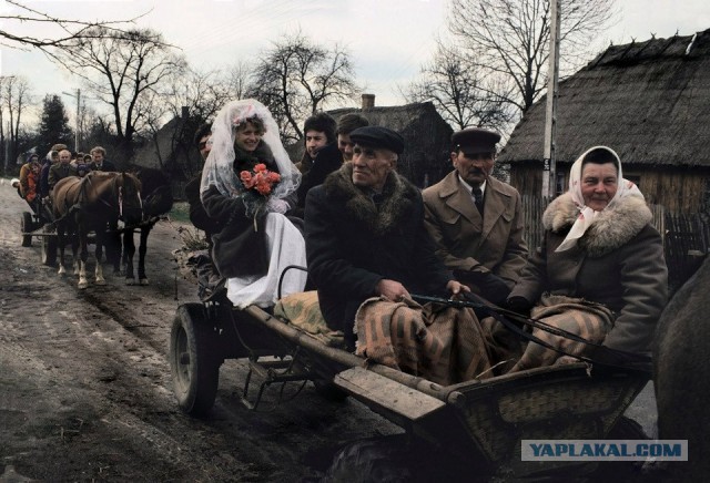 Просто юмор 7