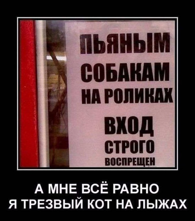 Приколы в стиле "регресс"