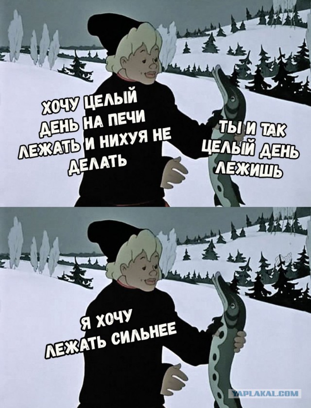Подеградируем, немного картинок веселых и разных