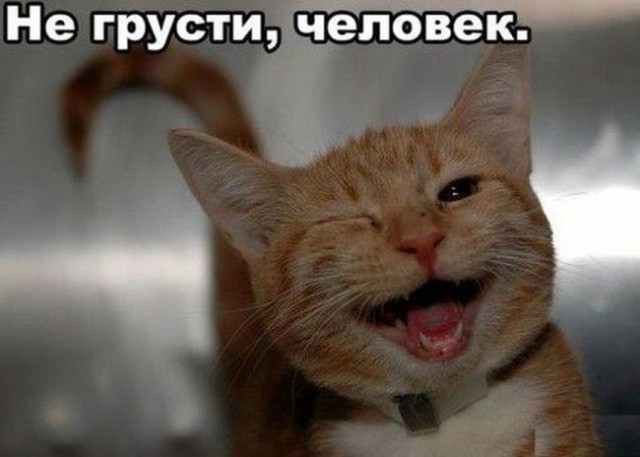 Подборка интересных и веселых картинок