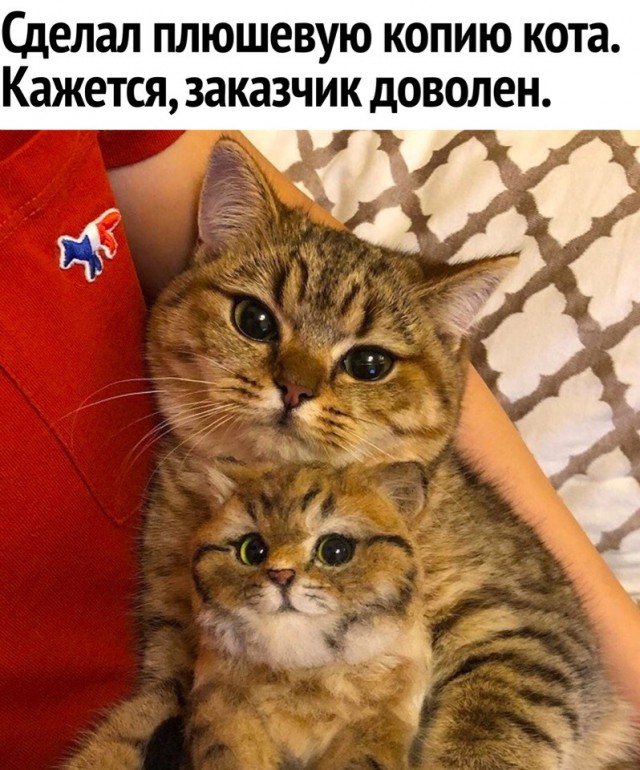 Немного картинок в эту субботу