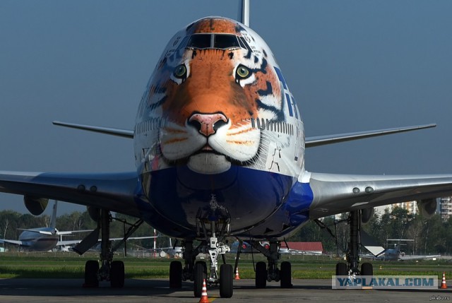 Как выглядят отношения с РСП с точки зрения пилота.