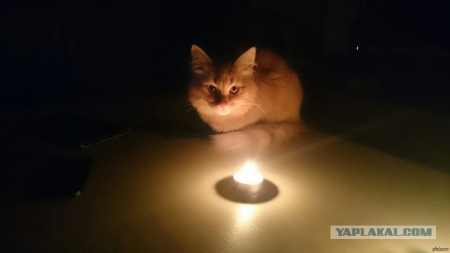 Мой опыт использования каркасного дома.